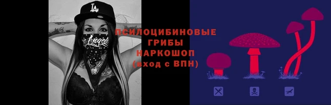 apvp Бугульма