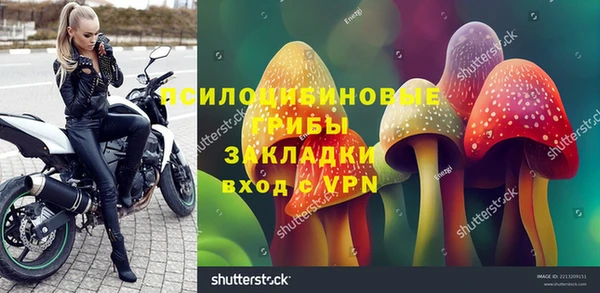 ГАЛЛЮЦИНОГЕННЫЕ ГРИБЫ Бронницы