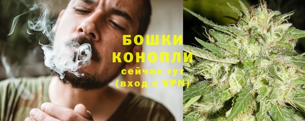 apvp Бугульма