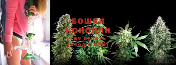 соль курить ск Бородино